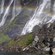 A rainbow and a waterfall near trees and a body of water